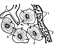  : http://www.examen.ru/about.nsf/0/0f24a9c6bcca7d03c3256a02003da259/Content/3.3CCE?OpenElement&FieldElemFormat=gif